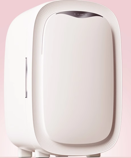 12L draagbare mini-schoonheids - Beauty Makeup Fridge recensie en prijs
