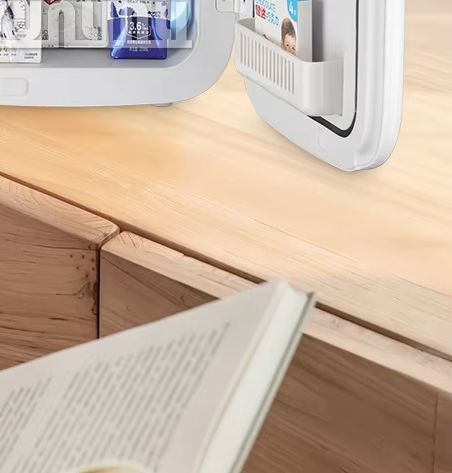 20L draagbare koelkast multifu - Beauty Makeup Fridge recensie en prijs
